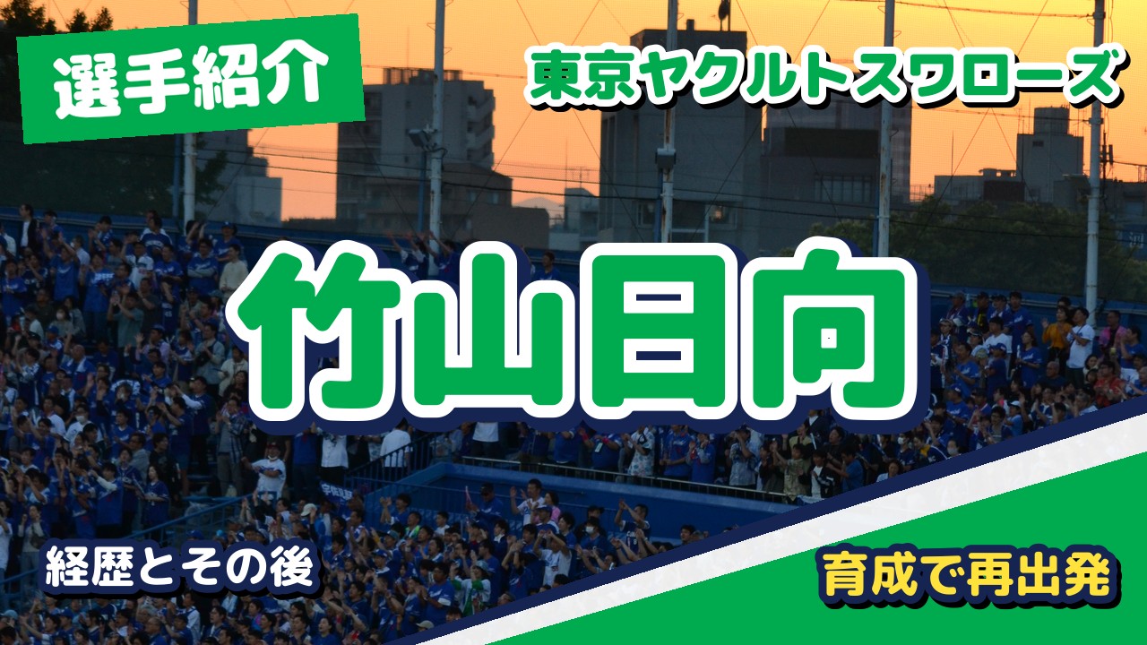 竹山日向の経歴とその後