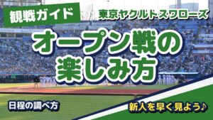 ヤクルトのオープン戦の楽しみ方