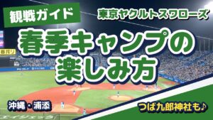 ヤクルト春季キャンプの楽しみ方