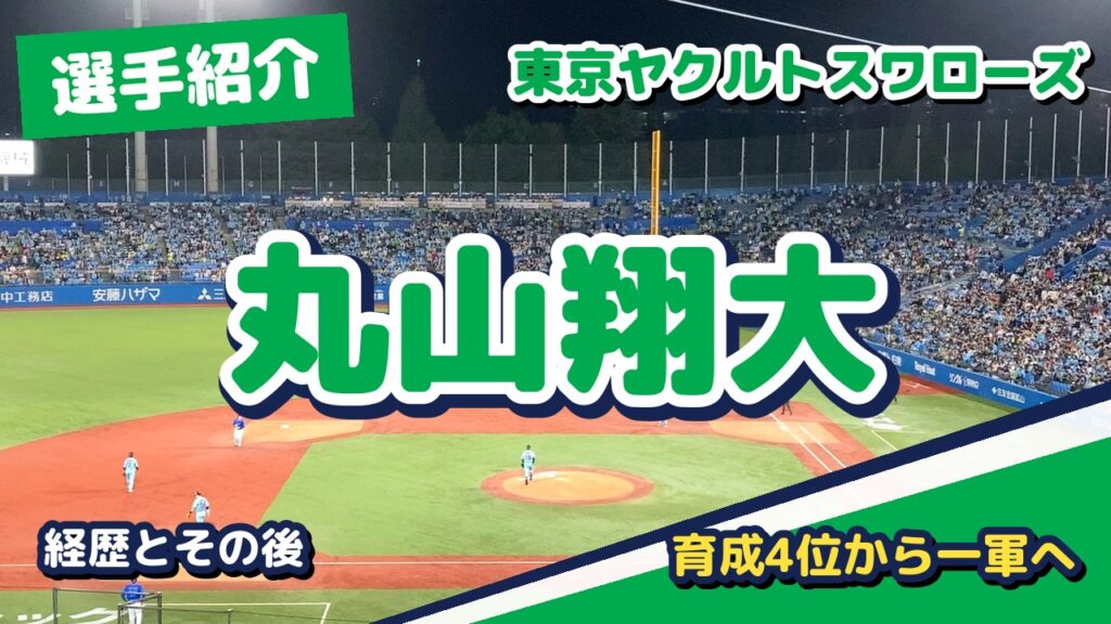 丸山翔大の経歴とその後