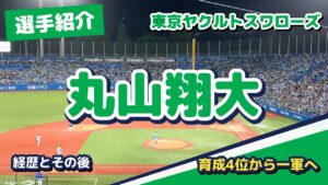 丸山翔大の経歴とその後